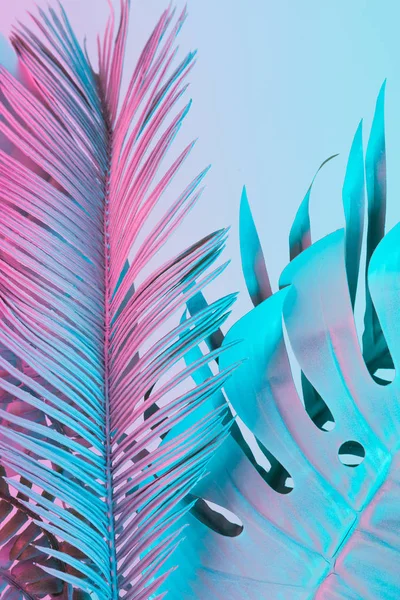 Τροπική Και Palm Φύλλα Ζωντανή Έντονα Ντεγκραντέ Ολογραφική Χρώματα Τέχνη — Φωτογραφία Αρχείου