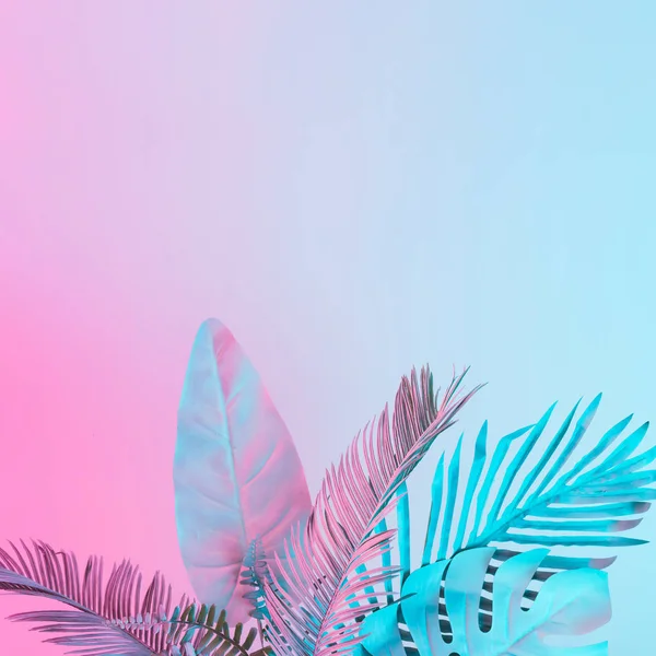 Folhas Tropicais Palma Cores Holográficas Gradiente Ousado Vibrante Arte Conceitual — Fotografia de Stock