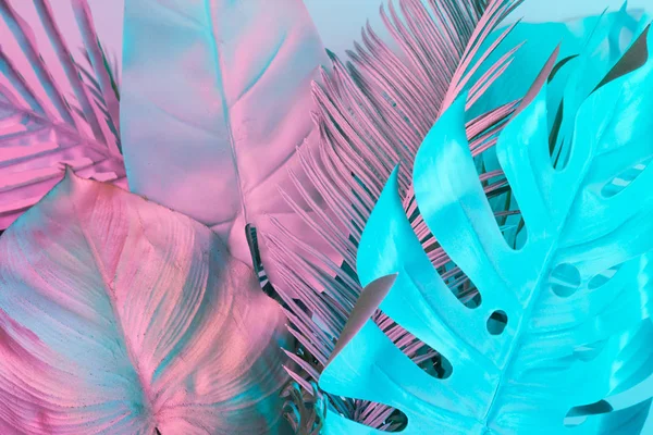 Tropische Und Palmenblätter Lebhaften Kühnen Holographischen Farbverläufen Konzeptkunst Minimaler Surrealismus — Stockfoto