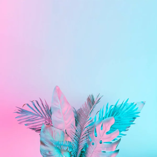 Folhas Tropicais Palma Cores Holográficas Gradiente Ousado Vibrante Arte Conceitual — Fotografia de Stock