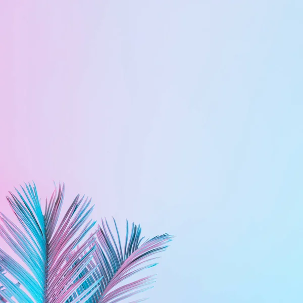 Tropische Palm Bladeren Levendige Vet Holografische Verloopkleuren Concept Art Minimale — Stockfoto