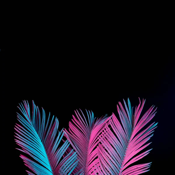 Tropical Palm Leaves Vibrant Bold Gradient Holographic Neon Colors Concept — Stock Photo, Image