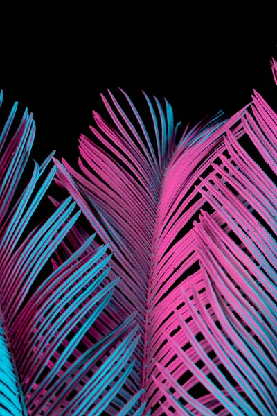热带和棕榈叶在充满活力的大胆梯度全息霓虹灯颜色 概念艺术 最小超现实主义 — 图库照片