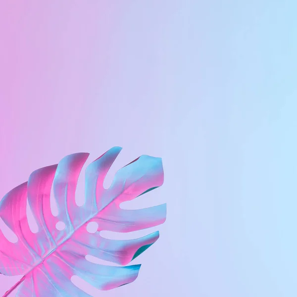 Tropisches Blatt Lebendigen Kühnen Farbverläufen Holografische Neonfarben Konzeptkunst Minimaler Surrealismus — Stockfoto