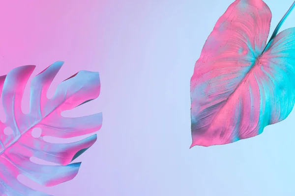 tropical and palm leaves in vibrant bold gradient holographic neon colors, Concept art, Minimal surrealism