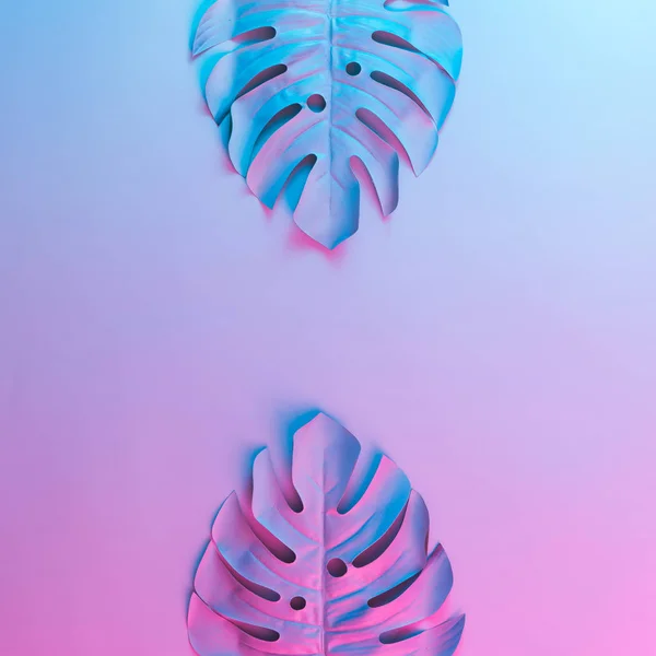 Trópusi Pálma Levelek Élénk Merész Színátmenet Holografikus Neon Színek Concept — Stock Fotó