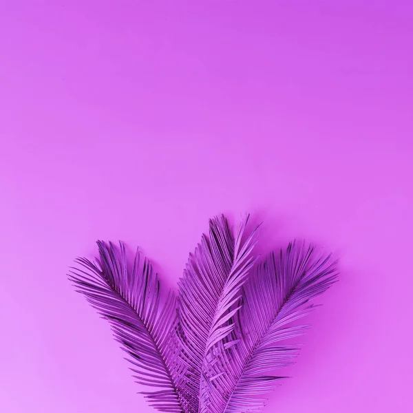 Tropiska Och Palm Lämnar Lila Färger Begreppskonst Minimal Surrealism — Stockfoto