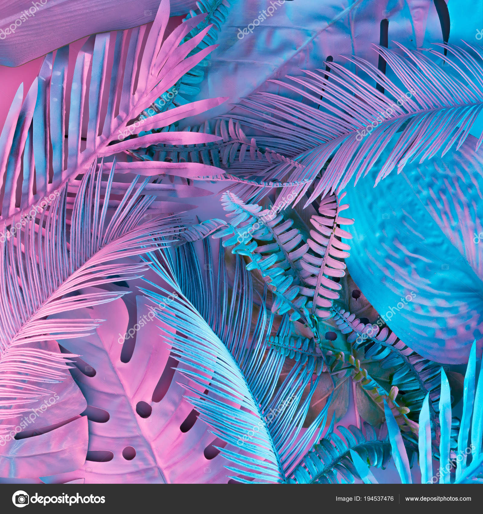 Tropical Palm Leaves Vibrant Bold Gradient Holographic Neon Colors Concept Royalty Free Photo Stock Image By C Zamurovic Tropical Palm Leaves Vibrant Bold Gradient Holographic Neon Colors Concept Royalty Free Photo Stock Image By C Zamurovic