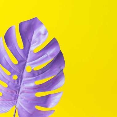 Canlı Sarı zemin üzerine mor tropikal yaprak. En az yaz egzotik kavramı.