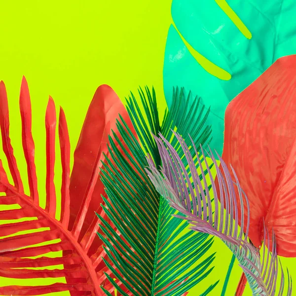Барвисте Тропічне Листя Яскраво Зеленому Тлі Мінімальна Літня Екзотична Концепція — стокове фото