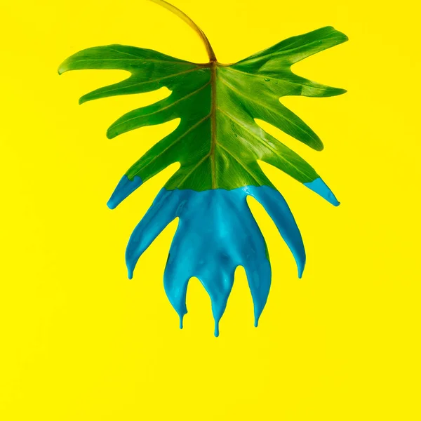 绿色的热带叶子 蓝色的颜料在黄色的背景上 最小的夏日异国情调概念 — 图库照片