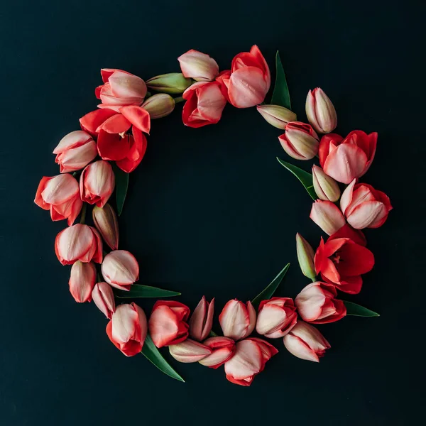 Stylové Minimalistické Zátiší Květinami Tulipán Tmavém Pozadí Rozložení Bytu — Stock fotografie