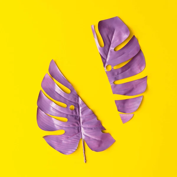 紫には 黄色の背景に熱帯の葉が描かれています コピー スペースと最小限の夏エキゾチックな概念 — ストック写真