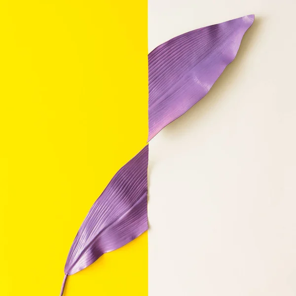 紫色画的热带叶子在白色和黄色背景 具有复制空间的最小夏日奇异概念 — 图库照片