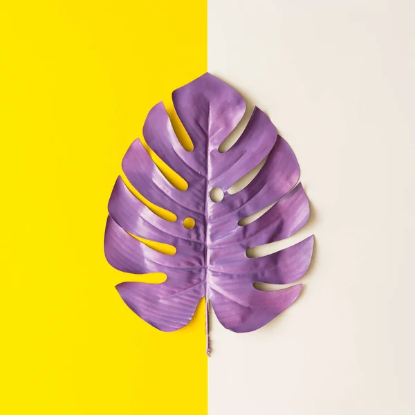 Violett Lackiertes Tropisches Blatt Auf Weißem Und Gelbem Hintergrund Minimales — Stockfoto