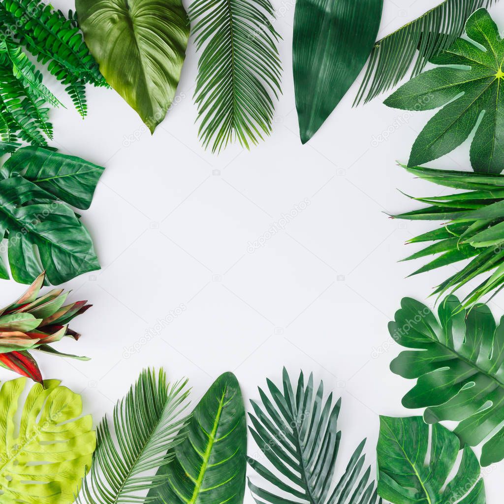 Creative layout made of tropical leaves on white background. Minimal summer exotic concept with copy space. Border arrangement.