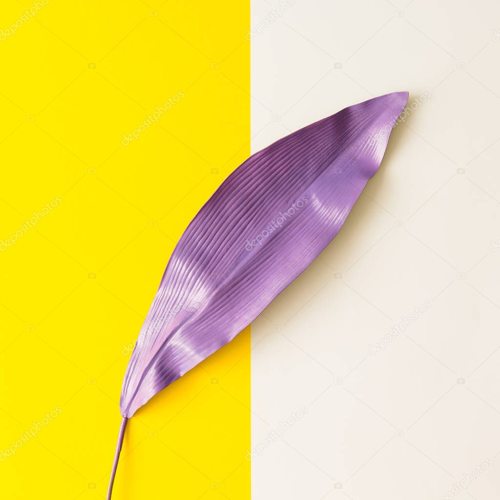 Purple painted tropical leaf on white and yellow background. Minimal summer exotic concept with copy space.