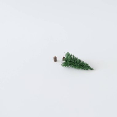felled Christmas tree on light background. Minimal winter flat lay holiday concept  clipart