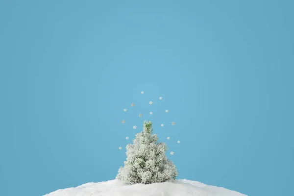 Layout Criativo Com Árvore Natal Nevado Flocos Neve Fundo Azul — Fotografia de Stock