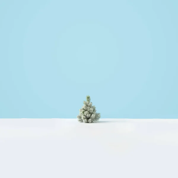 Kreatív Elrendezés Havas Karácsonyfa Fényes Kék Háttér Minimális Téli Természet — Stock Fotó