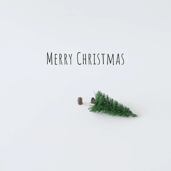 Gefällter Baum Und Text Frohe Weihnachten Auf Hellem Hintergrund Minimale — Stockfoto