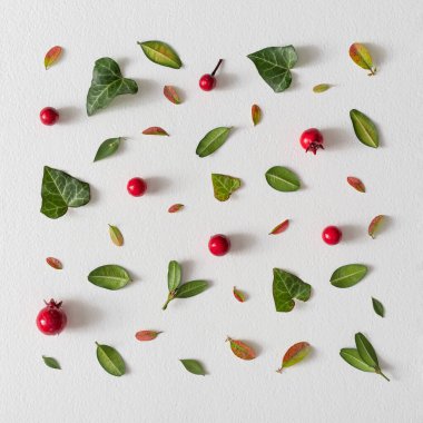 Creative layout pattern with green leaves and red berries, Minimal spring concept.