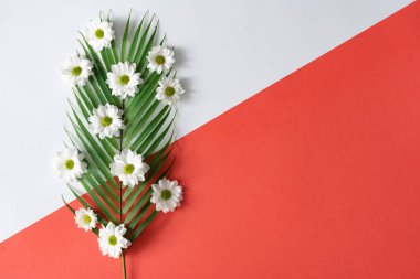 Creative layout made with palm leaf and flowers on white and red background, Women day and spring season minimal concept 