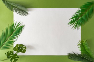Tropical bright colorful background with exotic tropical palm leaves on empty paper . Minimal creative summer concept