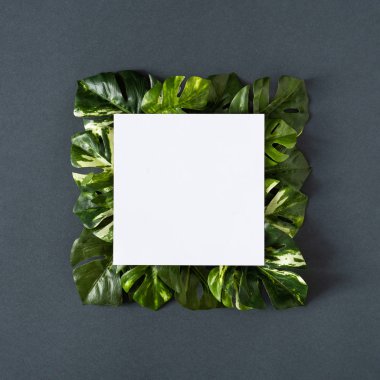 empty paper note with green monstera leaves on gray background. Spring season minimal concept  