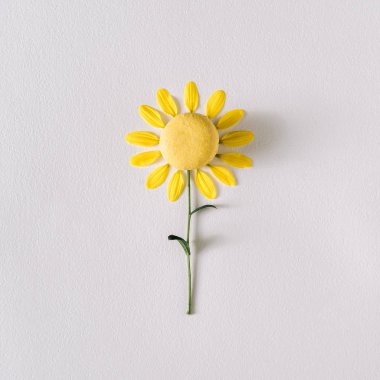 Yellow flower petals and macaroon cake. summer concept 