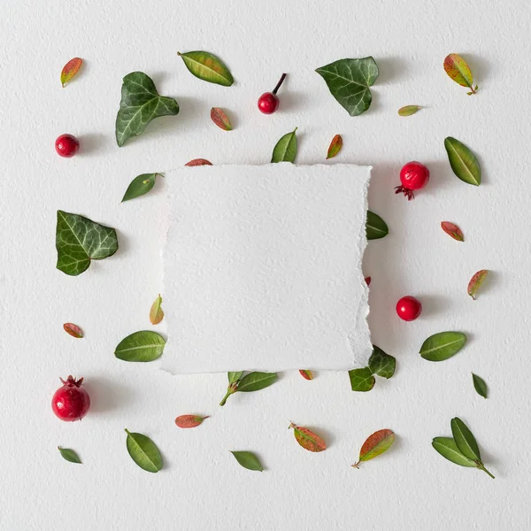 Creative Layout Pattern Green Leaves Red Berries Empty Paper Card — Stockfoto