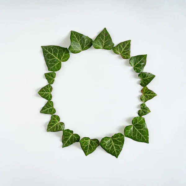 Tropical Background Pattern Green Leaves Form Circle Minimal Creative Spring — Stok fotoğraf