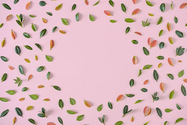 Creative Layout Pattern Green Red Leaves Flowers Pink Background Minimal — 스톡 사진