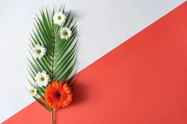Δημιουργική Διάταξη Φτιαγμένη Φύλλα Φοίνικα Και Λουλούδια Λευκό Και Κόκκινο — Φωτογραφία Αρχείου