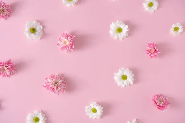 Patrón Creativo Realizado Con Flores Rosas Blancas Sobre Fondo Rosa —  Fotos de Stock