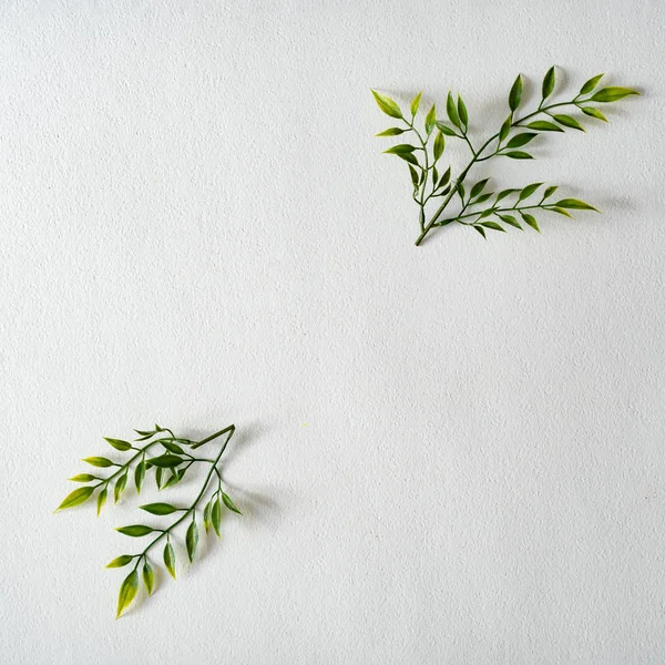 Creative Layout Made Green Leaves Branches White Background Women Day — 스톡 사진