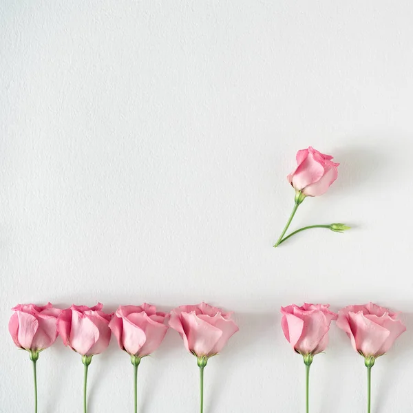 Composição Criativa Rosa Rosa Flores Dia Das Mulheres Primavera Conceito — Fotografia de Stock