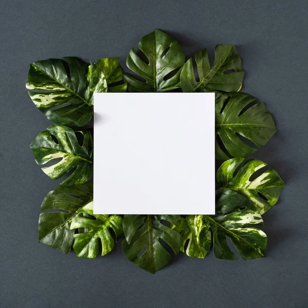 Empty Paper Card Note Green Monstera Leaves Gray Background Spring — 스톡 사진