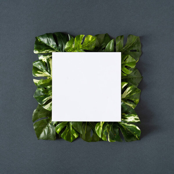 empty paper note with green monstera leaves on gray background. Spring season minimal concept  