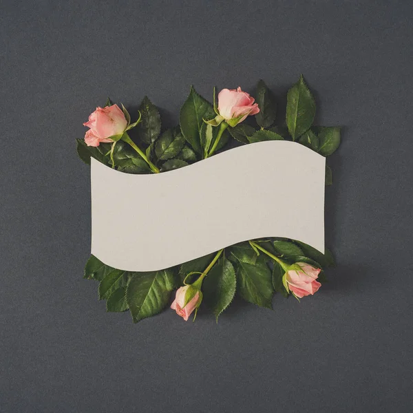 Papírová Karta Poznámka Pastelově Růžová Růže Květy Tmavě Šedém Pozadí — Stock fotografie