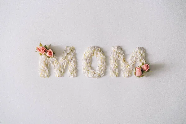 Palabra Mamá Hecha Con Pétalos Flores Hojas Día Madre Concepto —  Fotos de Stock