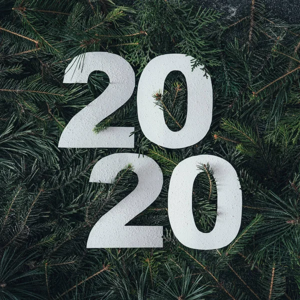 Ramas Pino Verde Árbol Navidad Con Número 2020 Concepto Año — Foto de Stock