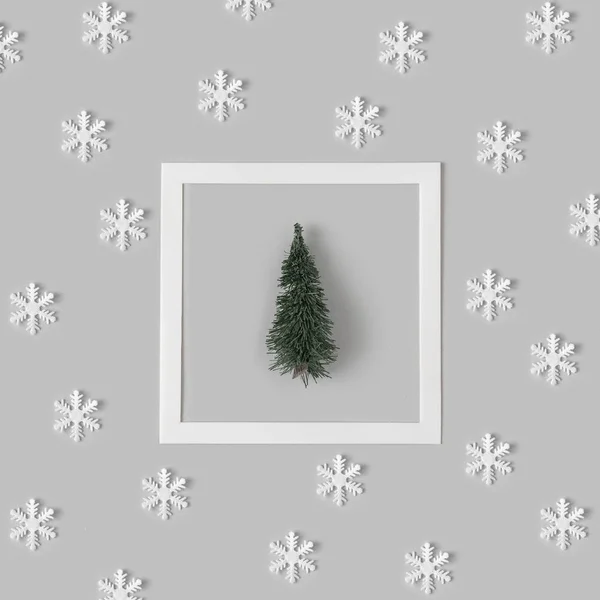 Christmas Pattern Winter Pine Tree Snowflakes Pastel Gray Background Minimal — Stock Photo, Image