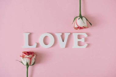 Pembe arka planda iki güllü bir aşk. Doğa çiçekleri konsepti. Minimal Sevgililer Günü.