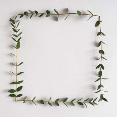 Parlak arkaplanda yeşil yapraklarla yapılan yaratıcı çerçeve düzenlemesi. Asgari doğa aşk fikri. Bahar çiçekleri kavramı.