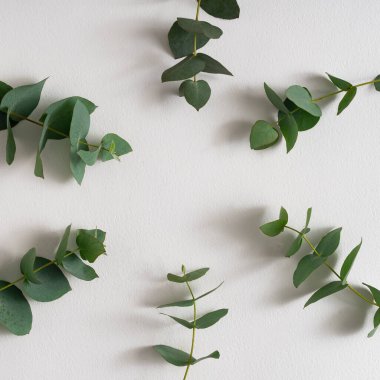 Parlak arka planda yeşil yapraklarla yapılmış yaratıcı bir düzen. Asgari doğa aşk fikri. Bahar çiçekleri kavramı.