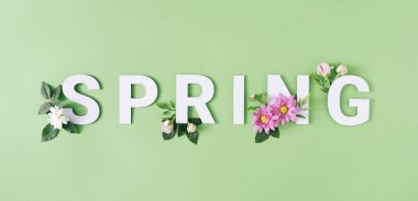 Pastel yeşile karşı beyaz ve pembe çiçekli bahar mektupları. Asgari doğa mevsimi konsepti.