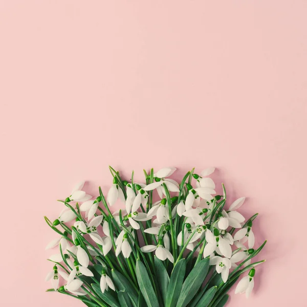 Kreatives Layout Mit Schneeglöckchen Auf Rosa Hintergrund Minimale Natur Liebe — Stockfoto