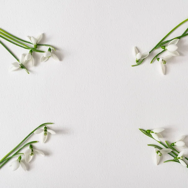 Kreatív Elrendezés Készült Hóvirág Virágok Fényes Háttérrel Minimális Szerelmi Ötlet — Stock Fotó