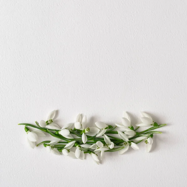 明るい背景に雪の花で作られた創造的なレイアウト 最小限の自然愛のアイデア 春の花のコンセプト — ストック写真